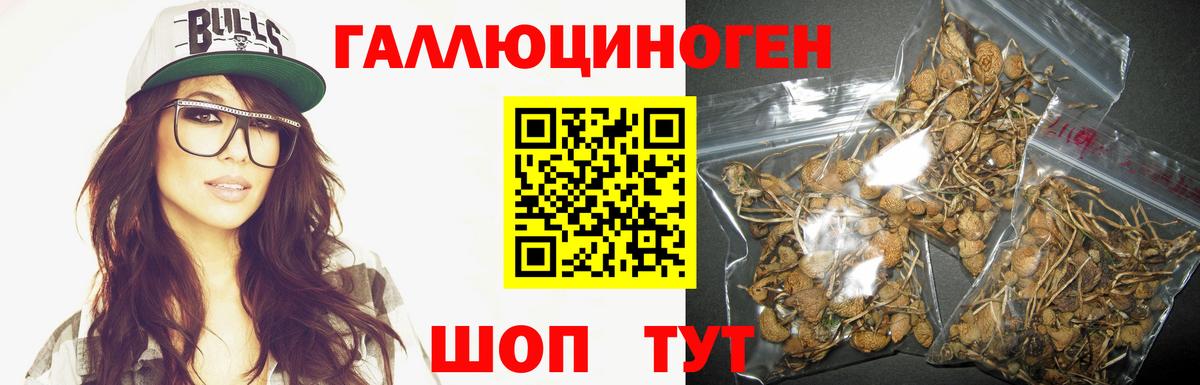Тольятти  Псилоцибиновые грибы Magic Shrooms  Вход с VPN 