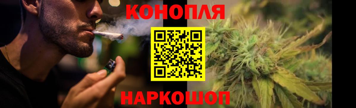 Тольятти  Марихуана сатива  Бошки Шишки планчик  Вход с VPN  Каннабис семена 